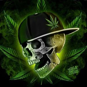 Meet your Posher, Tae